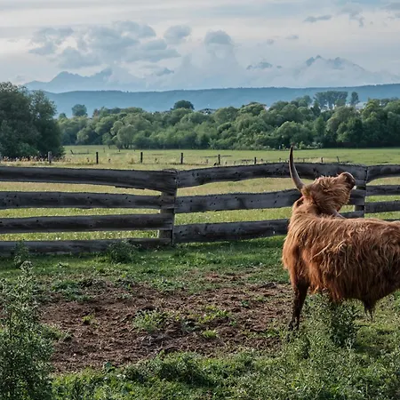 Gasthuis Ranc Podlesok Relax
